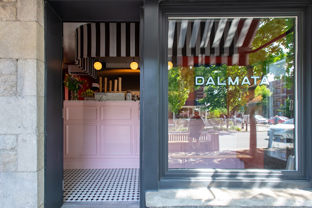 Dalmata, Montréal